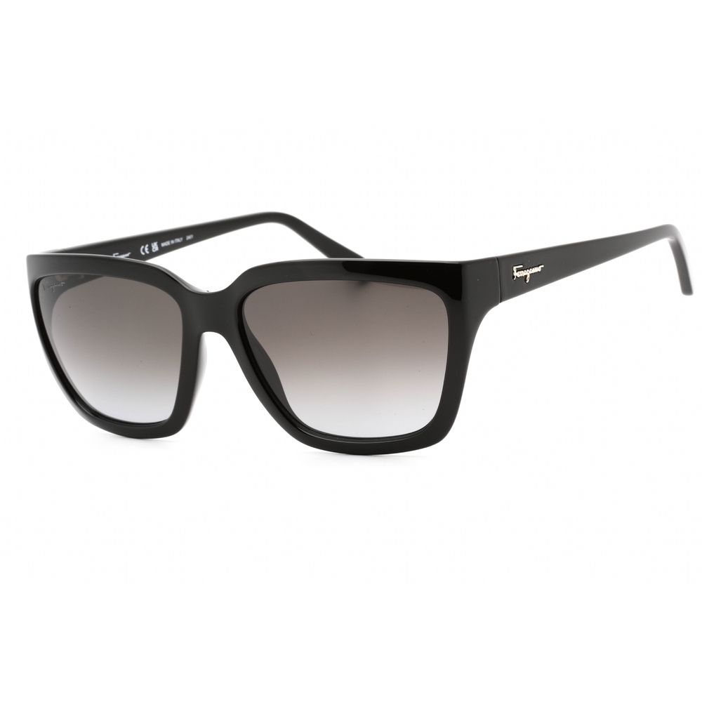 Salvatore Ferragamo SF1018S Sunglasses Black Rectangular